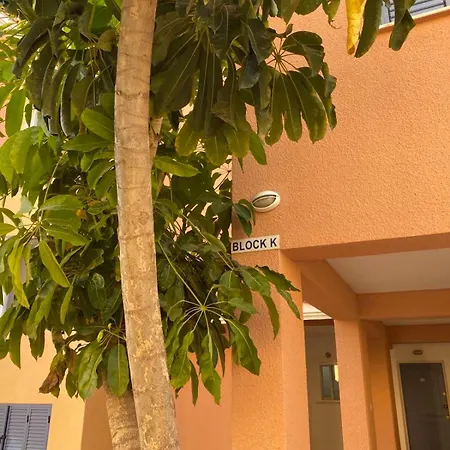 Limnaria Gardens K203 In Paphos