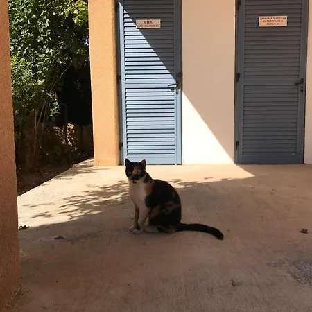 Limnaria Gardens K203 In Apartament Paphos