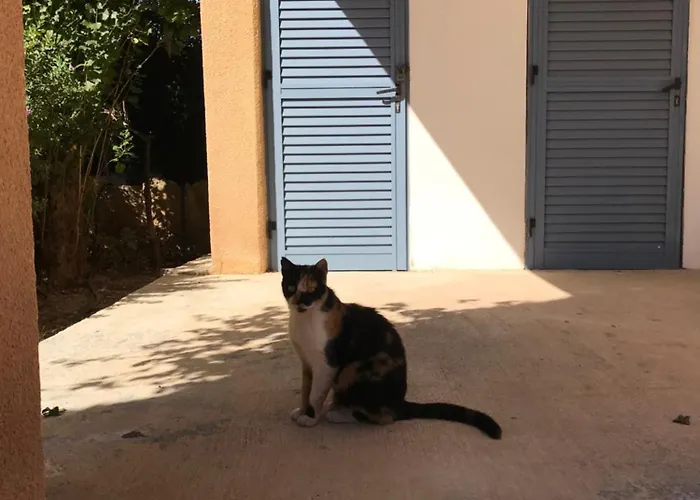 Limnaria Gardens K203 In Lejlighed Paphos